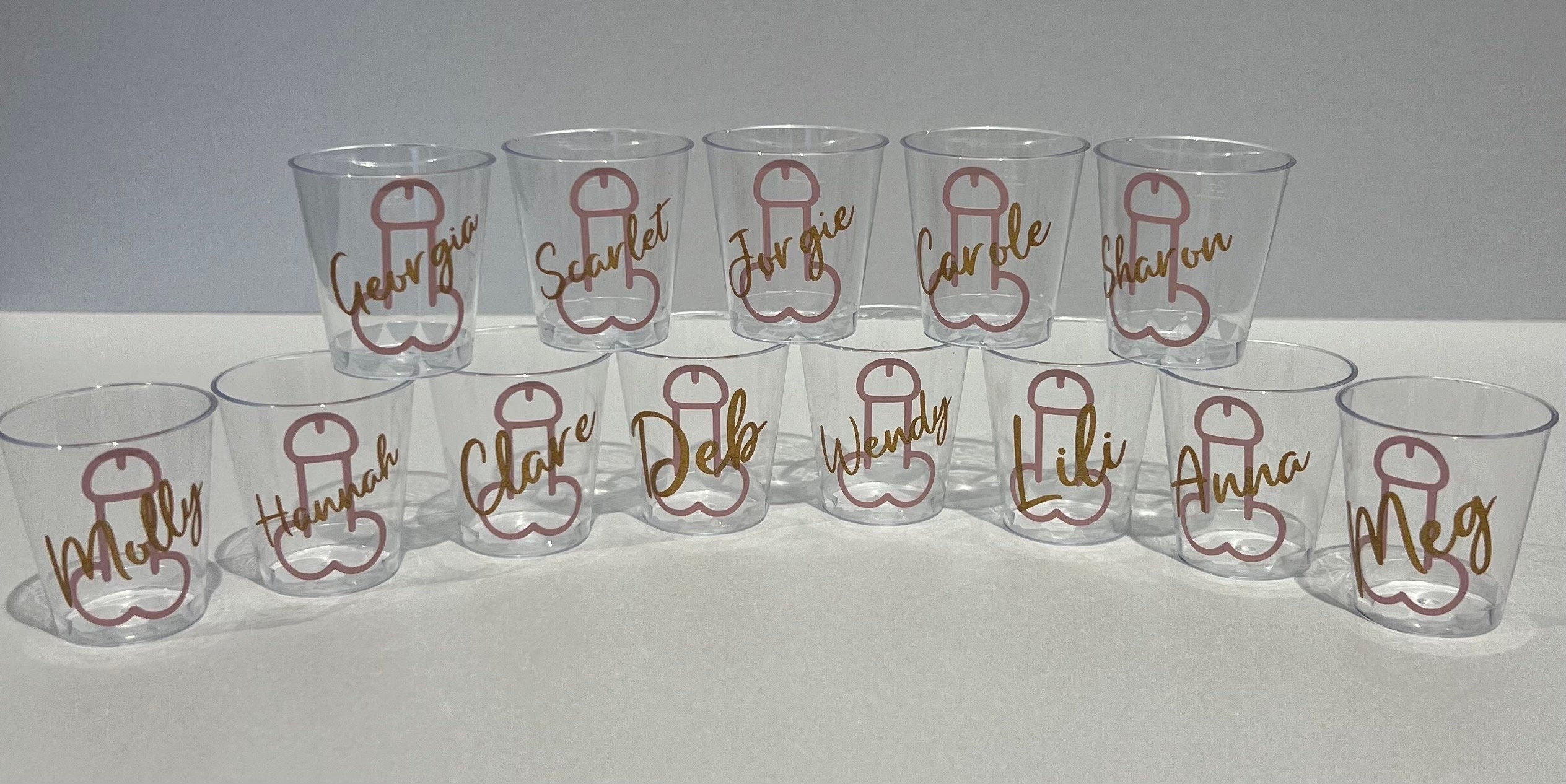 Personalised Willy Hen Do Plastic Shot Glasses Hen Party Bride tribe I Do Crew Hen Night