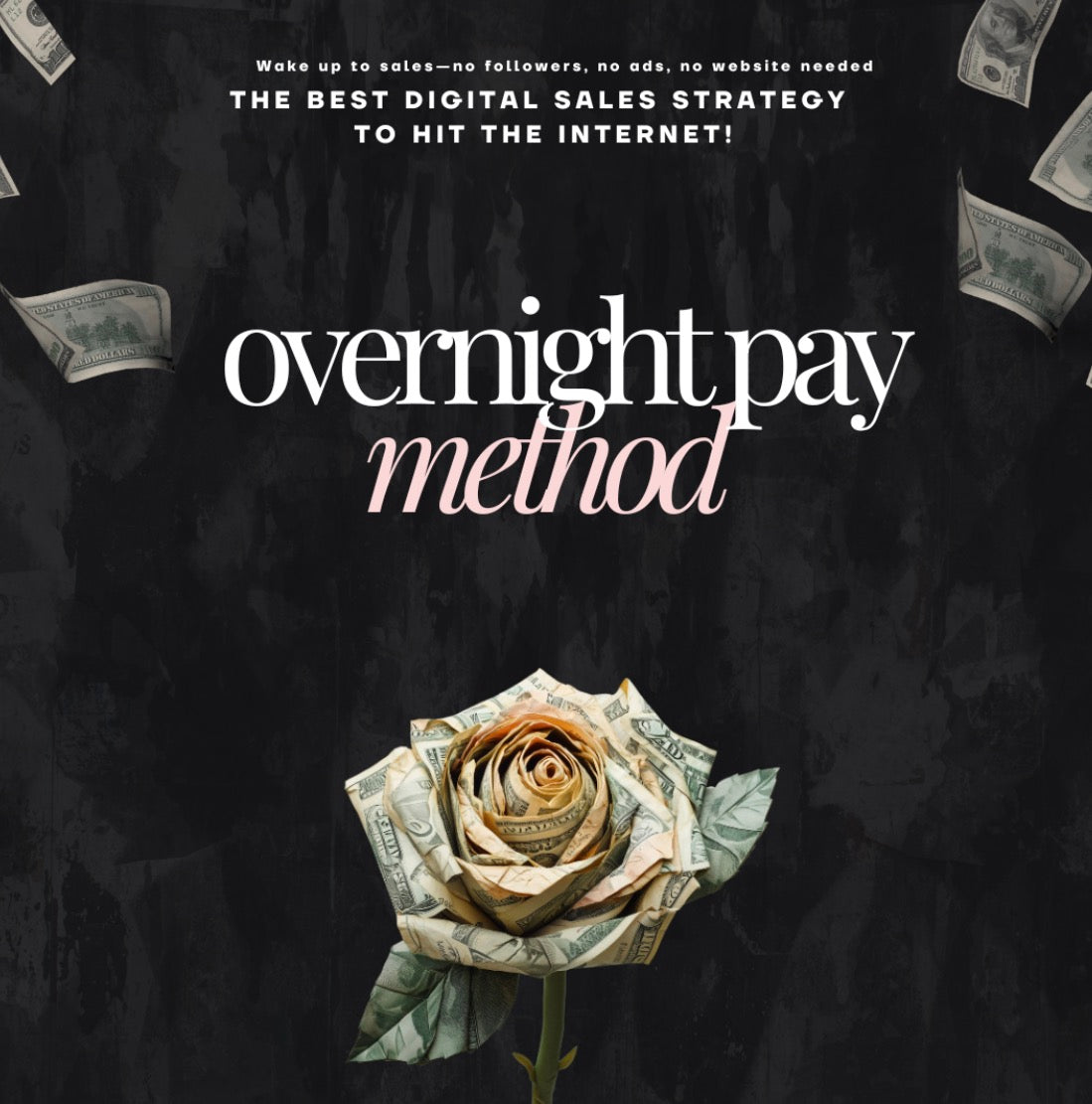 The Overnight Pay Method | Master Resell Rights Included | Digital Guide