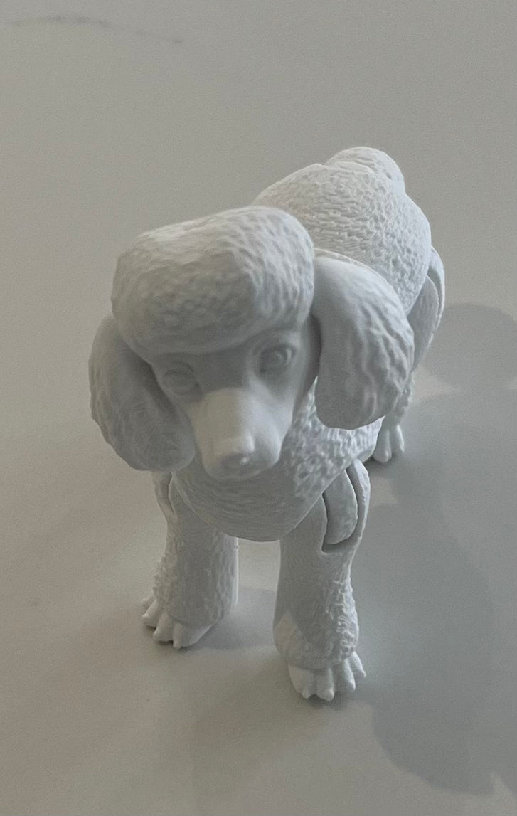 3D Printed Animals